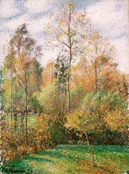 Autunno, Pioppi, Eragny